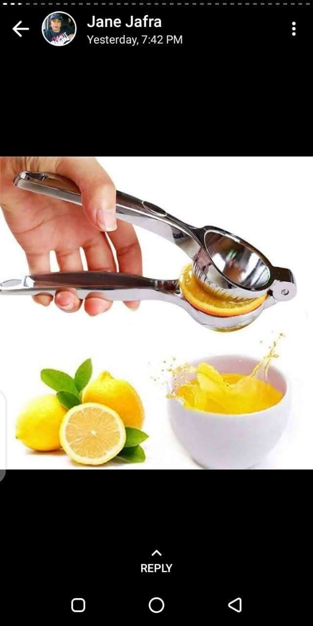 Lemon squeezer heavy duty