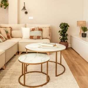 Nesting-Nordic-Luxury-Coffee-Table-Set-Of-2-white